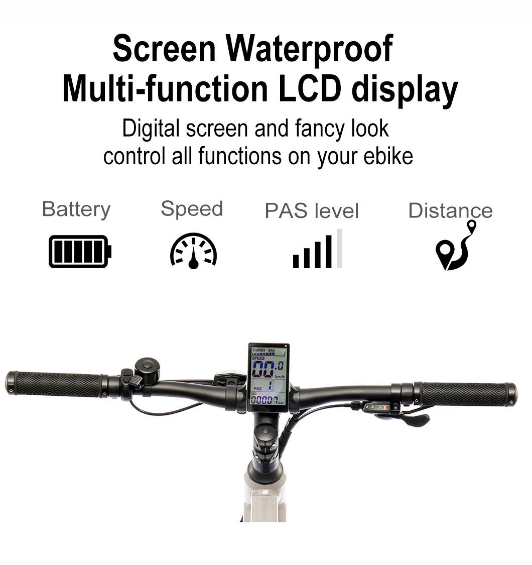 27.5 Hidden Battery Electric Mountain MTB Bike Electric Bike