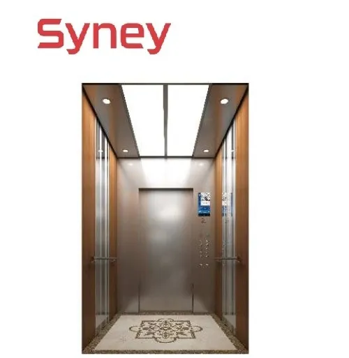 Vvvf China Syney Factory Observation Lift Panoramic Home Villa Observation Passenger Elevator Lift