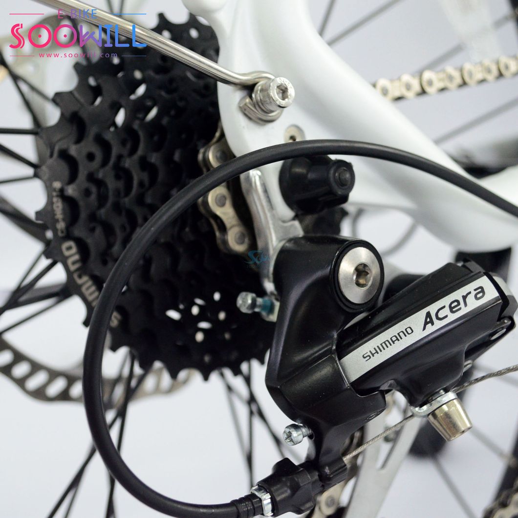 Original Stock Warranty Analog Spindle Control and White E Fat Tire Rear Hub Motor E Bike Electric Bicycle for Adult