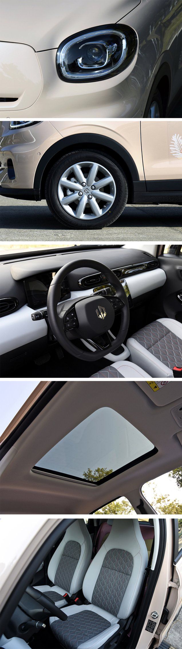 Ridever SUV Elite Electric Velite Car New Cars Price Electric Pure New Energy Blue Electric Popular Made in China Vehicle
