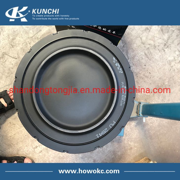 Sinotruk HOWO Air Filter Wg9725190102 / 03 2841 K2841 Wmdl Perfect Power with Top Quality