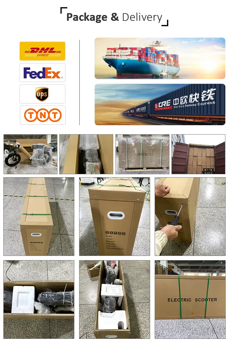 Lohas Scooter EU Warehouse for Adults Self-Balancing 48V/10ah Li-ion Battery Electric Scooter