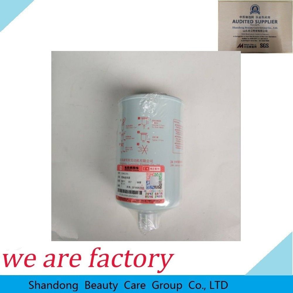 Fuel Filter Fs20123 Truck Parts for Engine Gearbox Filter Element