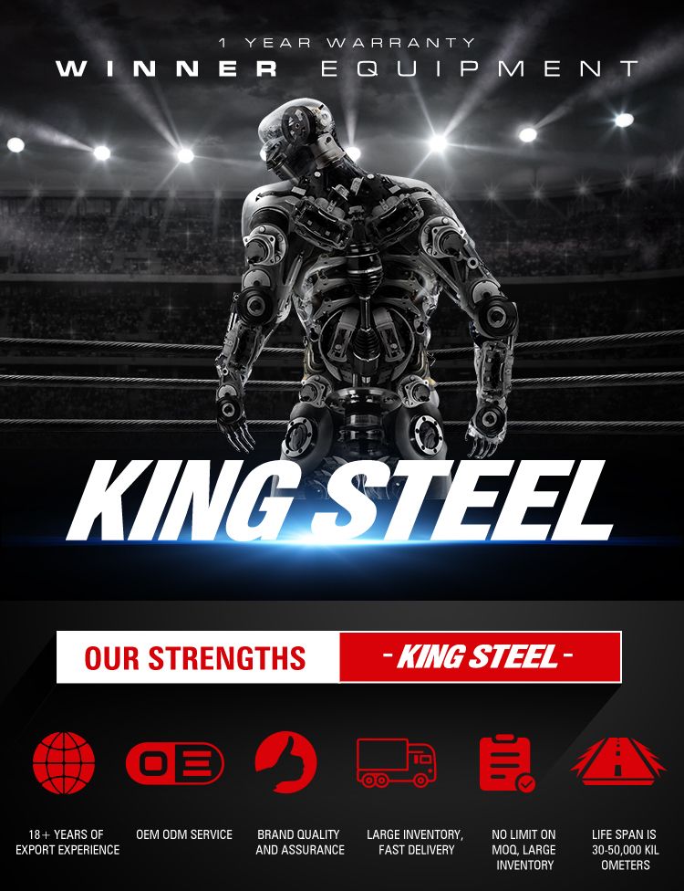 Kingsteel Best Price for Hyundai Veracruz Auto Part Shock Absorber for Toyota Gx110 OEM (341423)