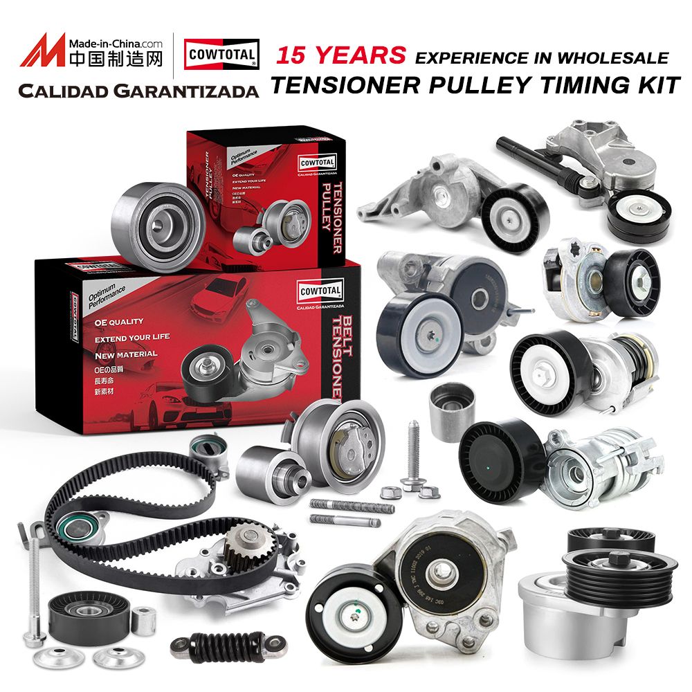 Auto Spare Car Parts Generator Belt Guide Pulley OE 1j0 145 276 1j0145276 for Audi S3 Factory Low Price