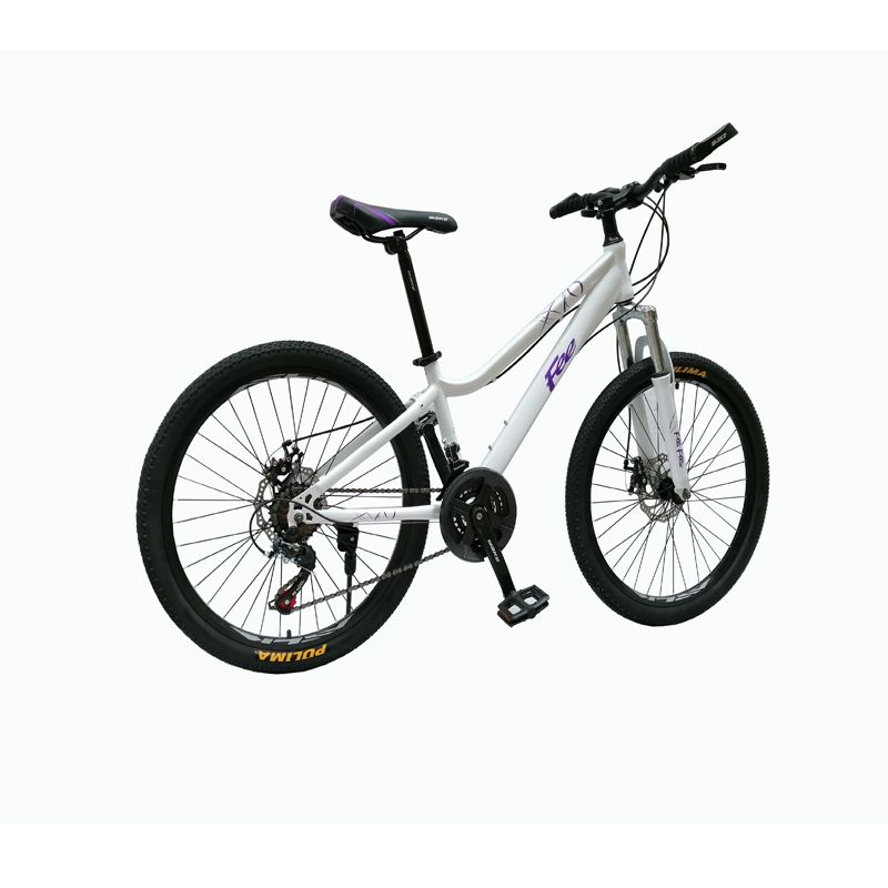 Beautiful Aluminium Alloy Frame Downhill Adult MTB Mountain Bicycle Bike