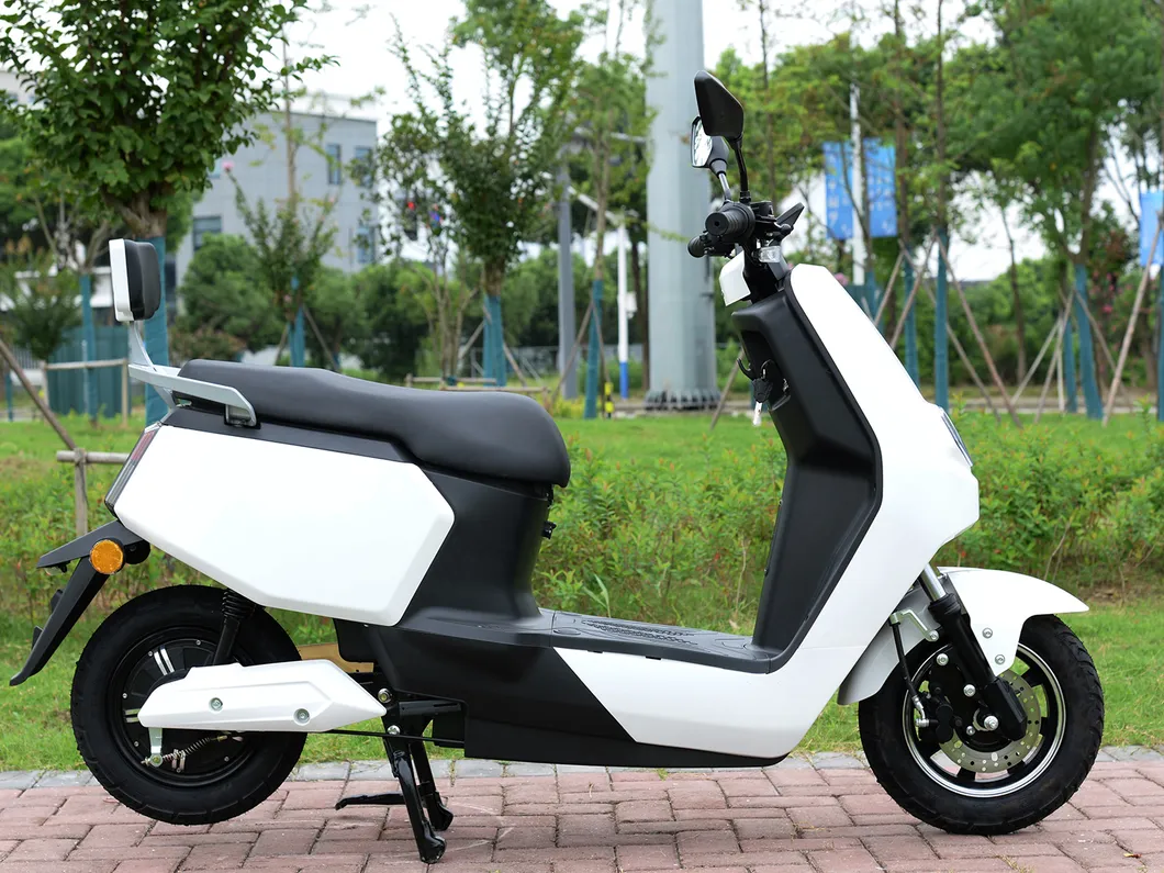 Iron Pipe Frame Adult Electric Scooter with 1000W Brushless Rear Drive