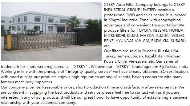 Xtsky High Quality Air Filter (P527484)