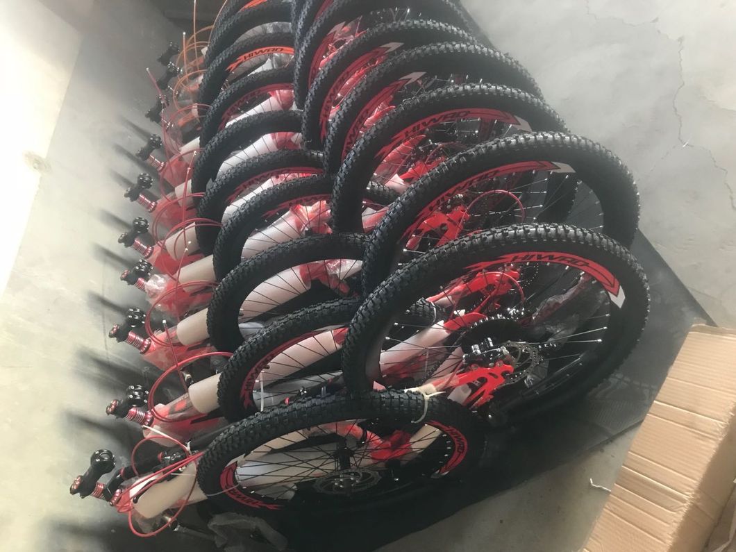 21 Speed Steel Frame Cheapest Model MTB with Colorful Rim