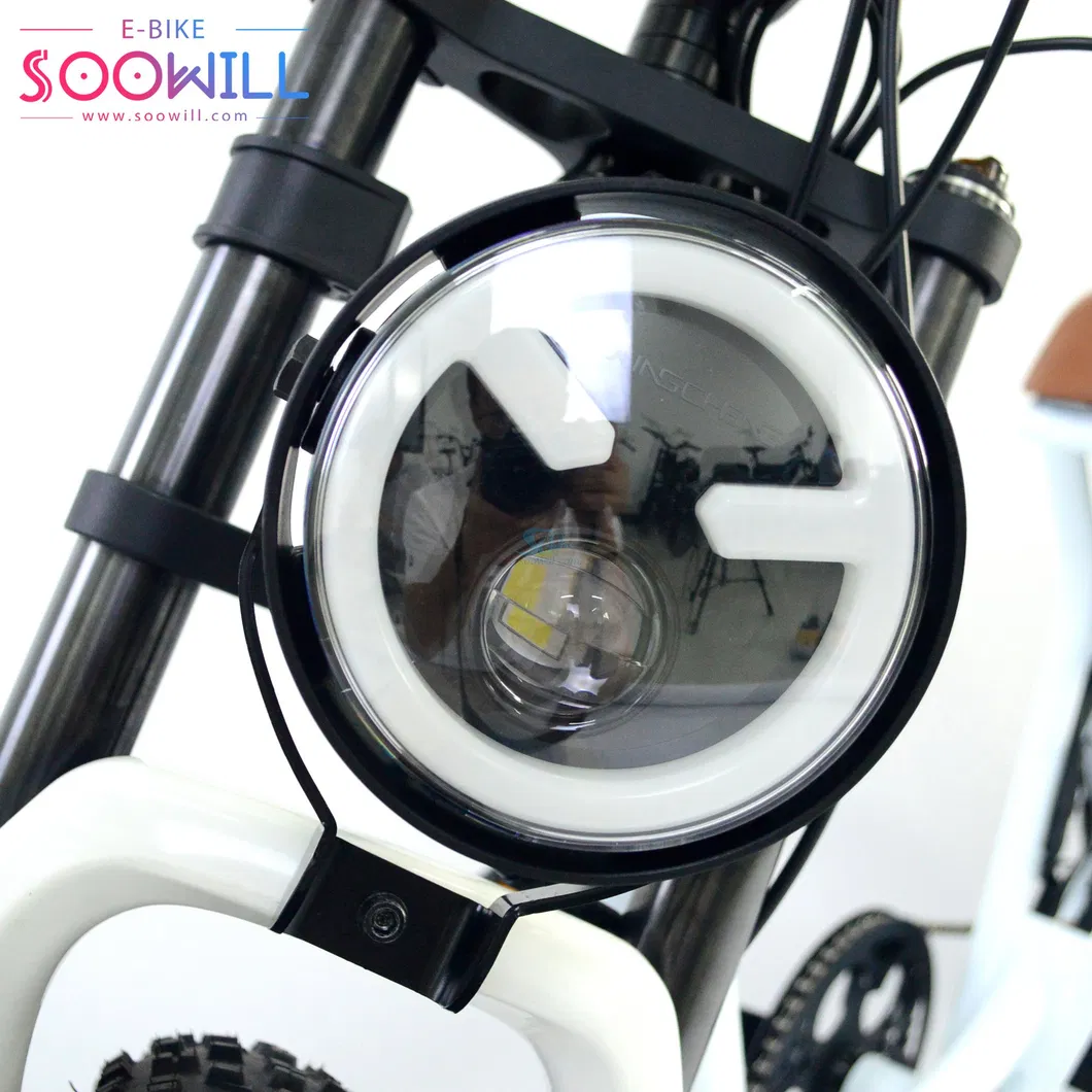 Nice Price &gt;60 Km by PAS Road OEM/ODM Electric Bike for Men and Women Ebike