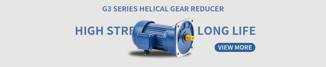 Helical Gearbox with Motor G3 Series