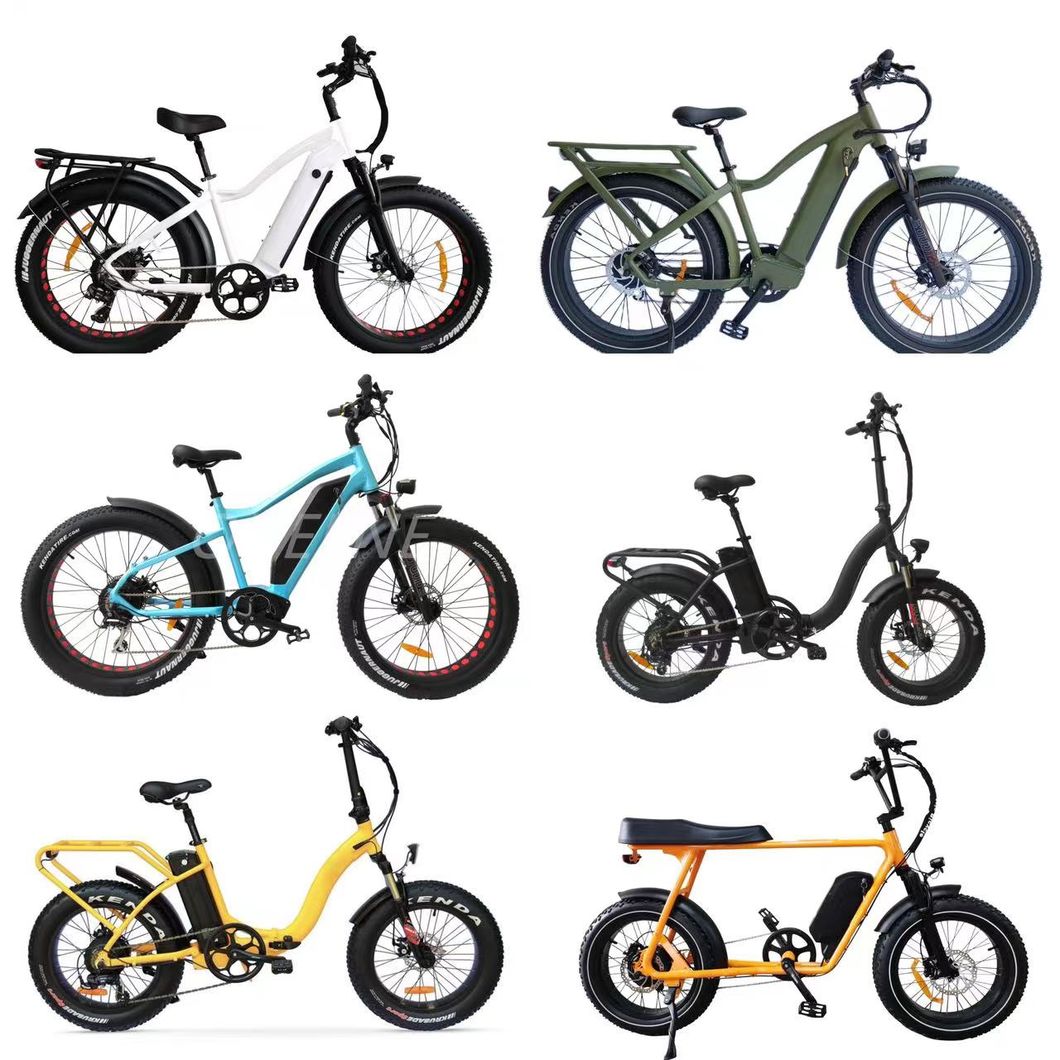 Queene Super Model Fat Tire Electric Bicycle Lectrique Electric Mountain Bike MTB