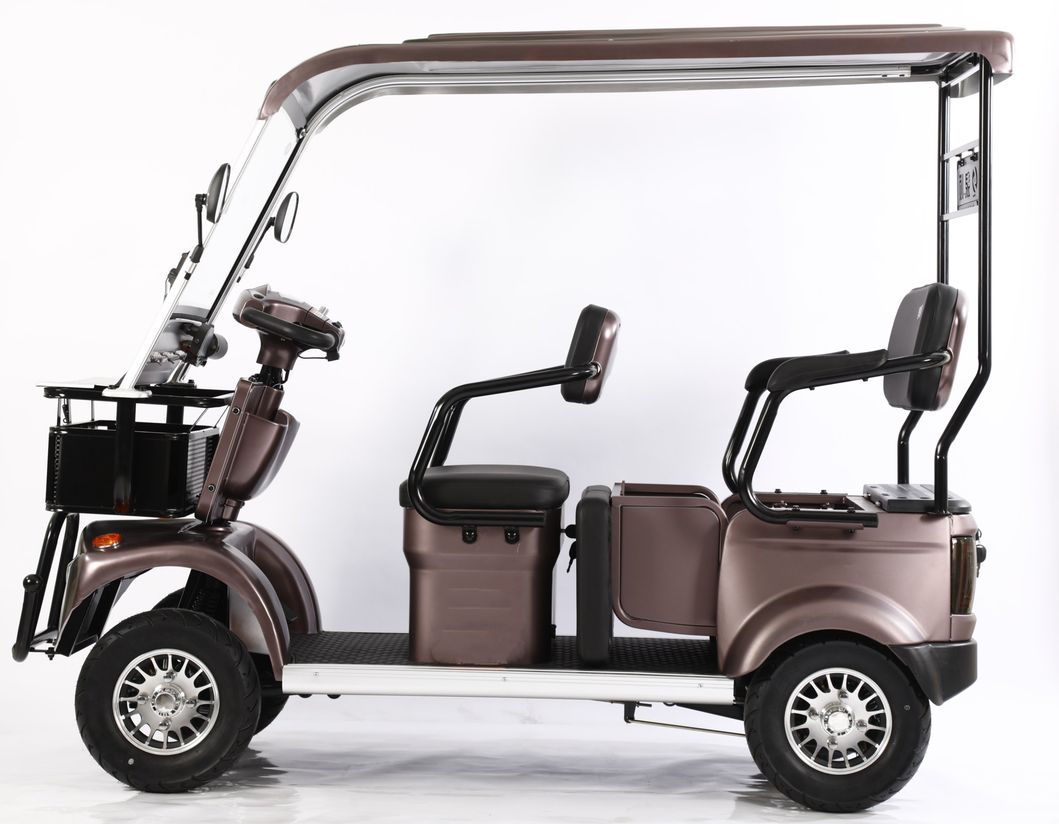 Customized Electric Golf Cart with 800W Motor and 20ah Lead-Acid Battery