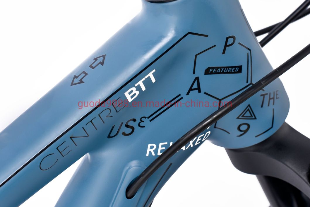 26 Inch Ai MTB 24s Mountain Bicycle with Oil Disc Brake