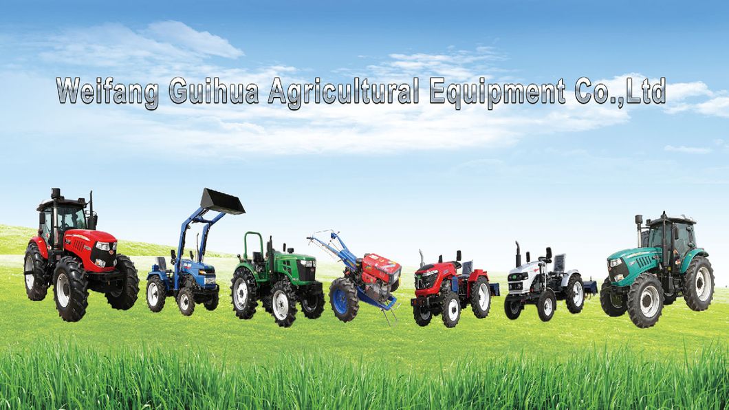 China Agriculture Mini Hand Tractor 18HP Two Wheel Walking Tractor to Zimbabwe Gana South Africa with Double Plough