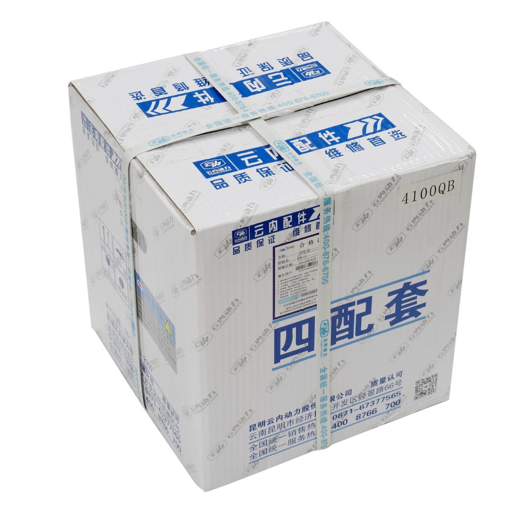 Genuine Yunnei Power Auto Spare Parts Yn4100qb Liner Kit