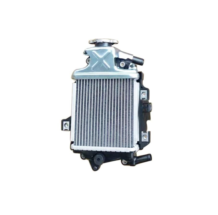 Motorcycles Parts Engine Radiator Water Cooler Assy for Honda Pcx125 Pcx150