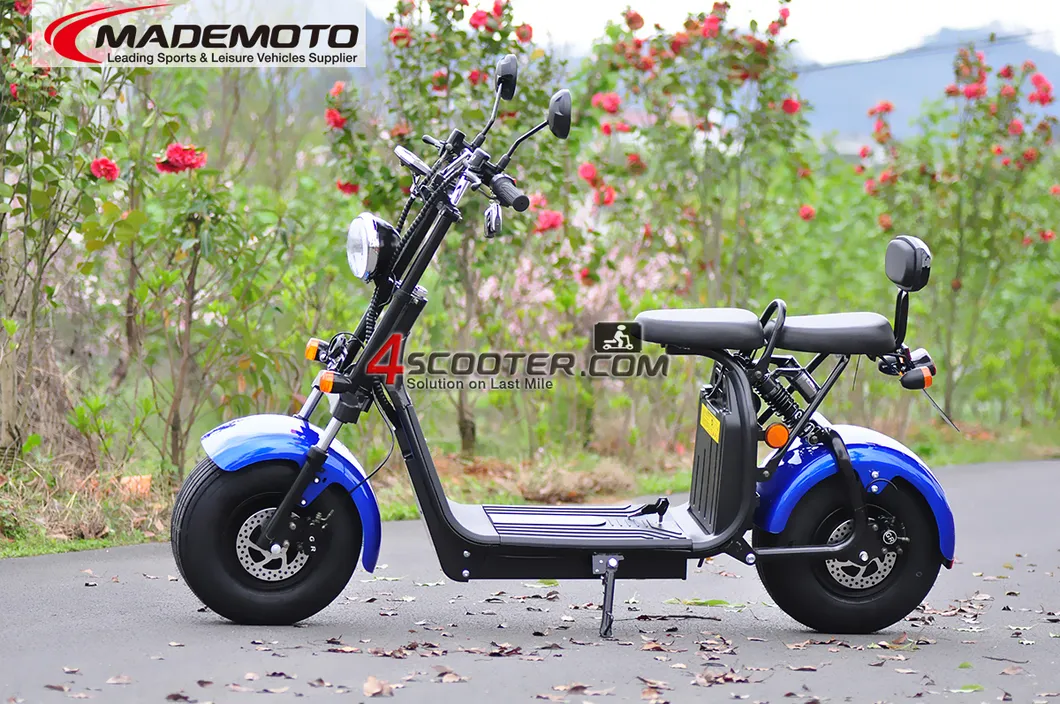 Road Legal 60V 1500W 2000W 3000W 5000W Electric Motorcycle Chopper EEC Citycoco Scooter Zhejiang Luqi Intelligent EEC Scooter