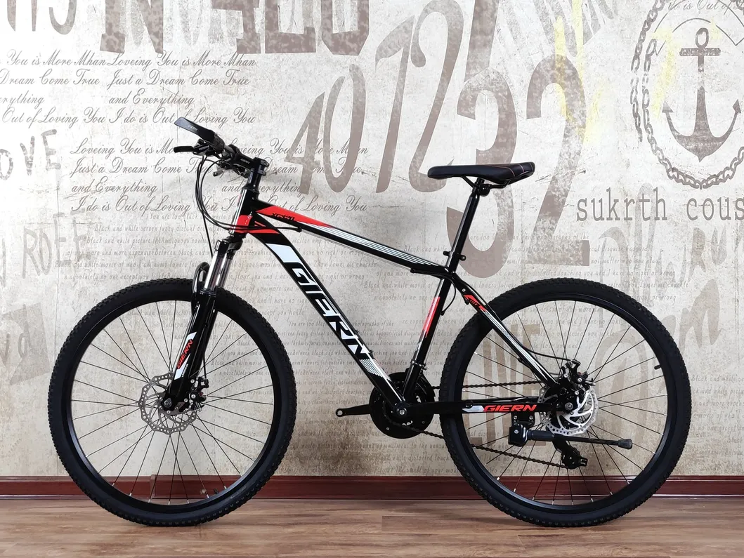 2023 Hot Factory Direct Sale MTB Mountain Bike