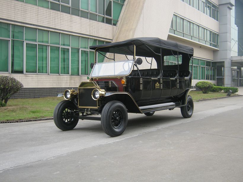 Professional Design Electric Sightseeing Passenger Vehicle with Ce Certificate
