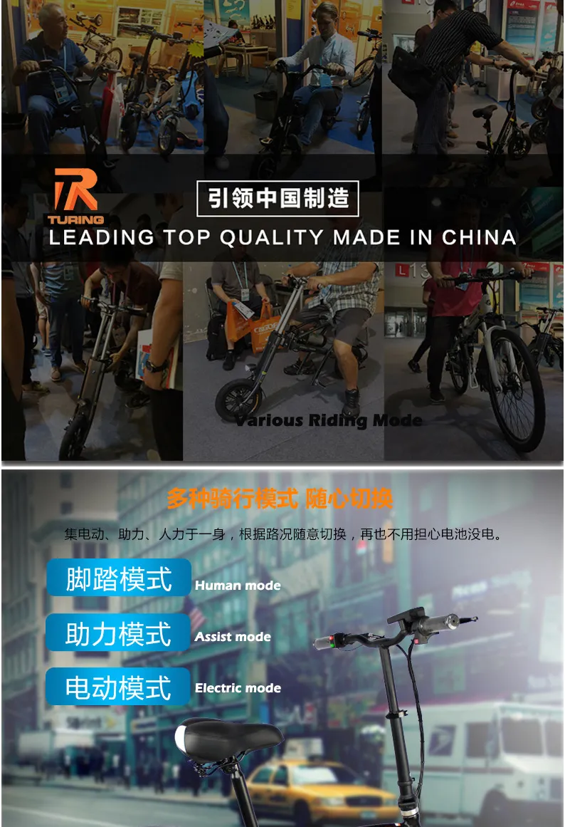 Mini Folding Electric Bicycle Power Battery Tde Time Controller Charging