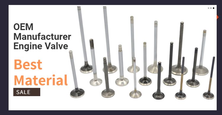 European Vehicle Engine Parts Top Quality Intake Engine Valve for Passat B51.8t