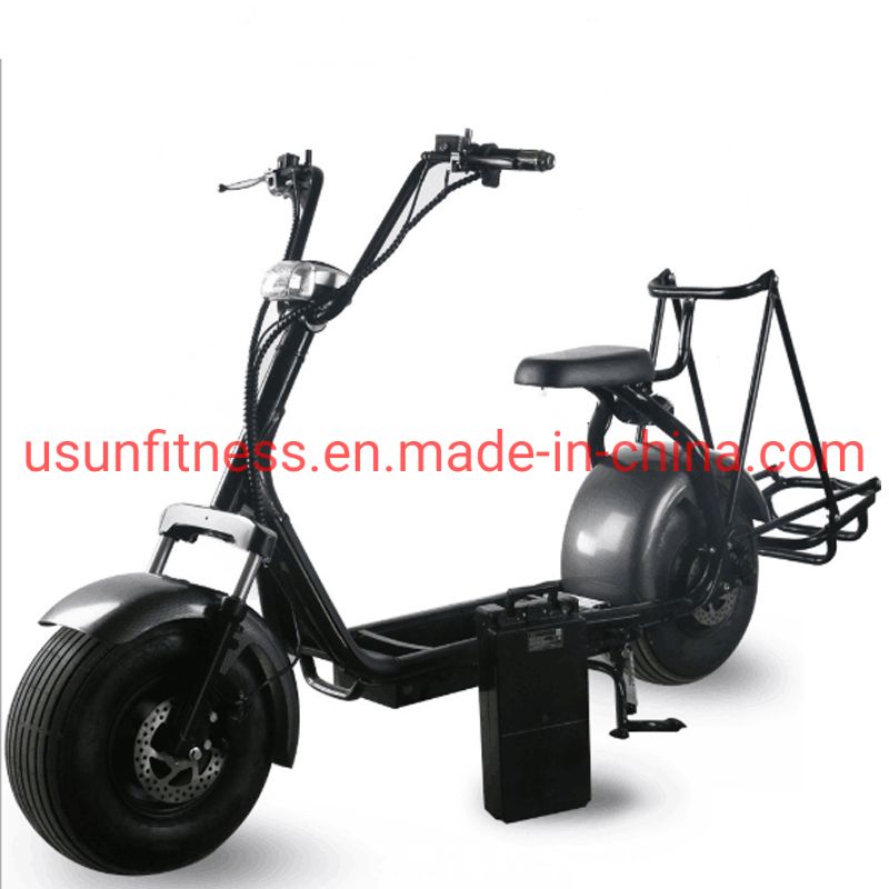 Modern 2021 New Electric Scooter Popular Model with Removable Lithium Battery Disc Brake