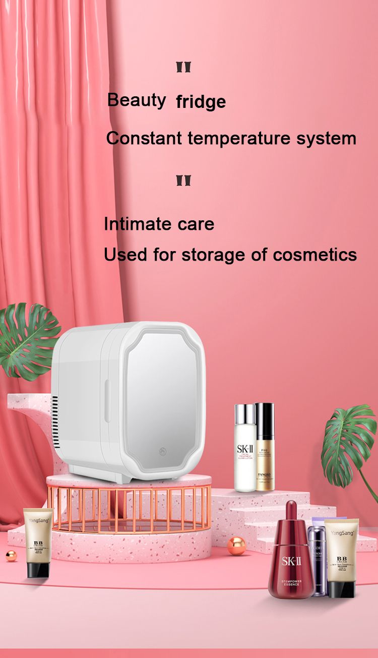 6L Portable Smart LED Mirror Makeup Beauty Mini Fridge Frigo