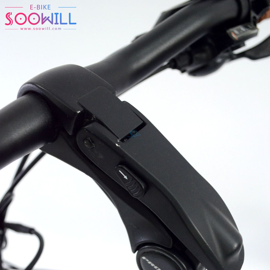 Original Stock Warranty Analog Spindle Control and White E Fat Tire Rear Hub Motor E Bike Electric Bicycle for Adult