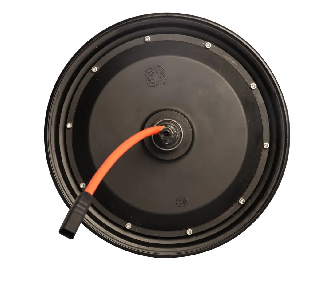 10 Inch Electric All-in-One Motor with 48V25A Central Control