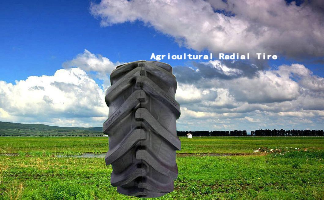 Factory Brand Agricultural R2 Agr Tires / Rice Tractor Tire / Cane Tyres (9.5-24)