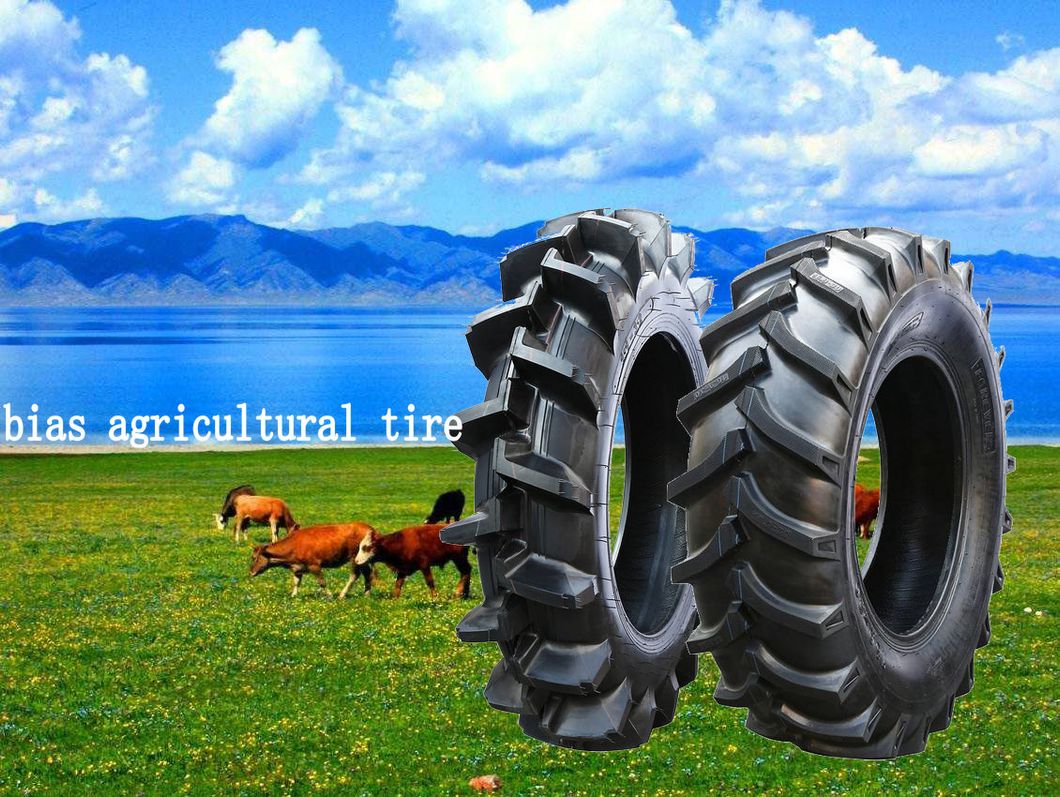 Tractor Front Tire/F2 Farm Tires/3 Rib Agricultural Tractor Tyres (4.00-12, 4.00-14, 4.00-16, 5.00-15, 5.50-16, 6.00-16, 6.50-16, 6.50-20, 7.50-16, 7.50-20)