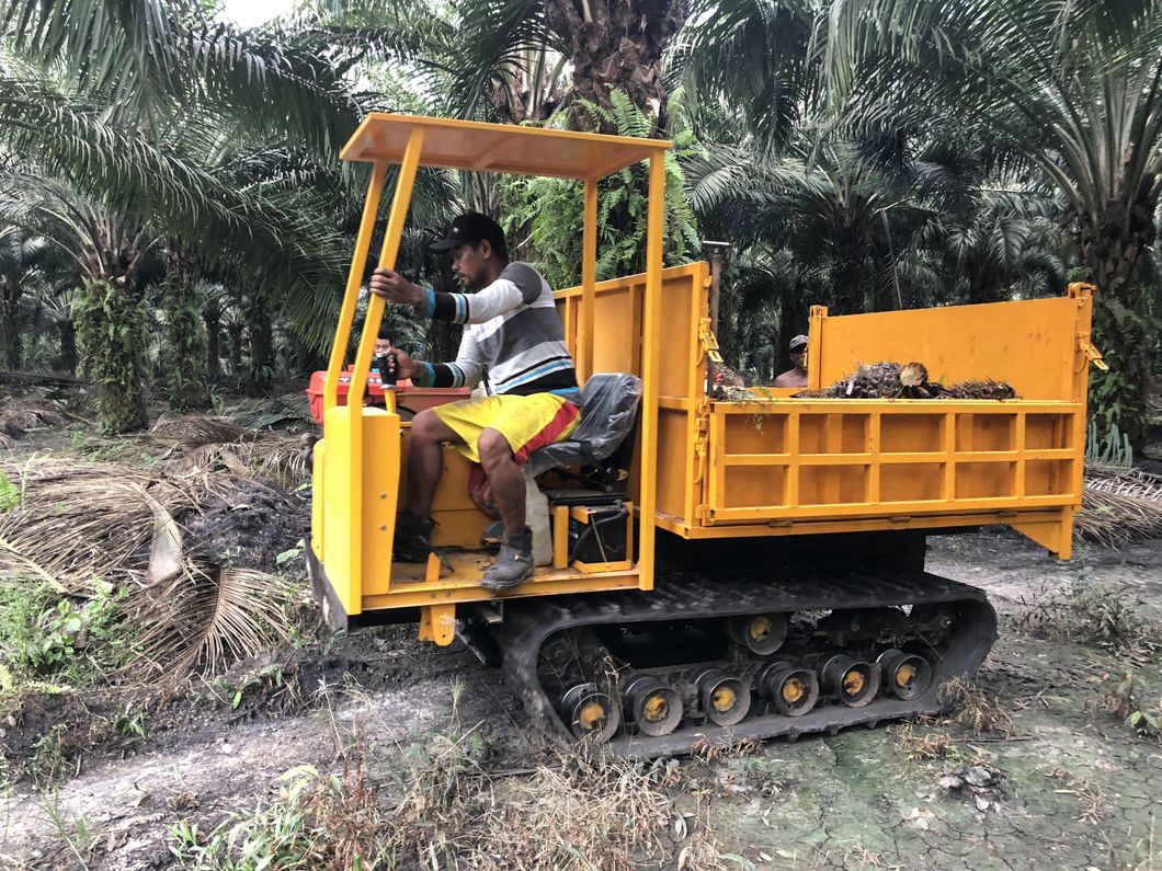 Factory Direct 25HP Power Hydraulic Crawler Mini Dumper with Good Price