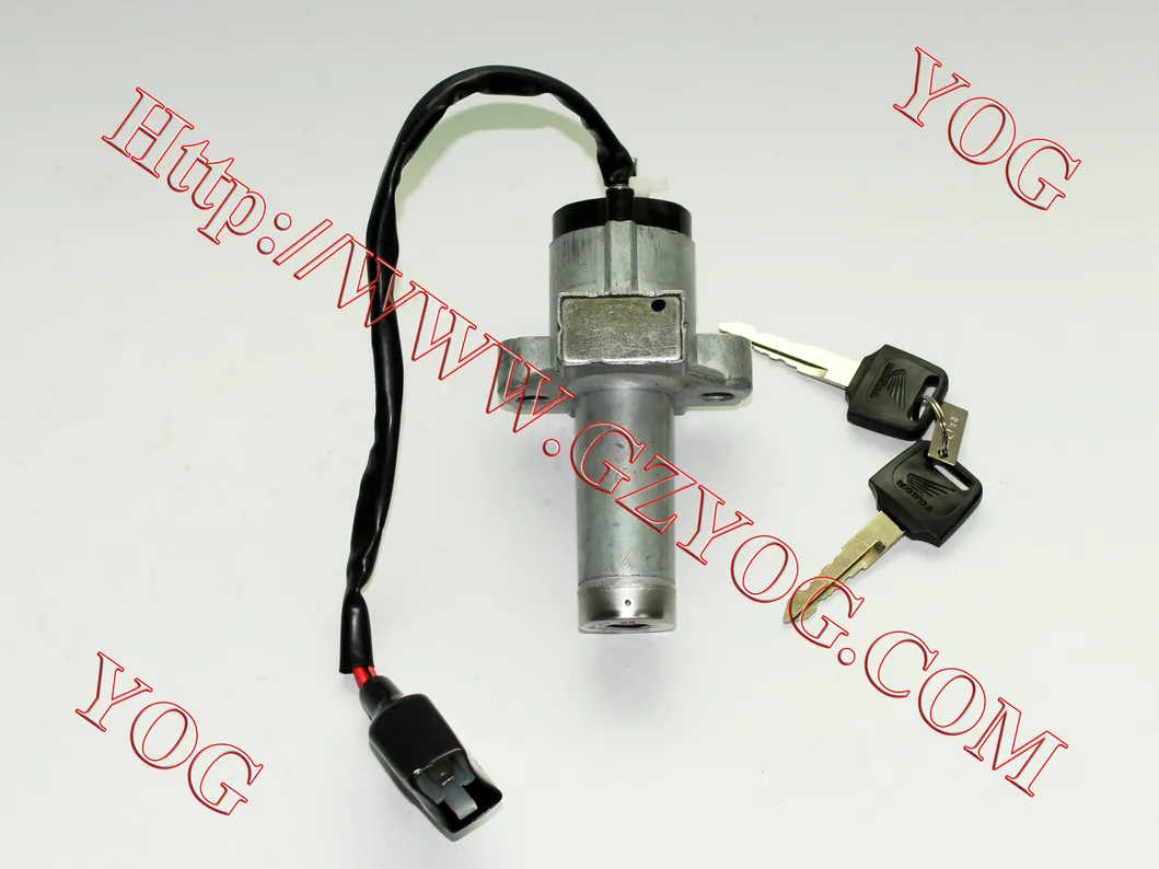 Motorcycle Parts Motorcycle Ignition Switch for Tx200, Unicorn, Xf200gy, 125z, Zh125, Zm100