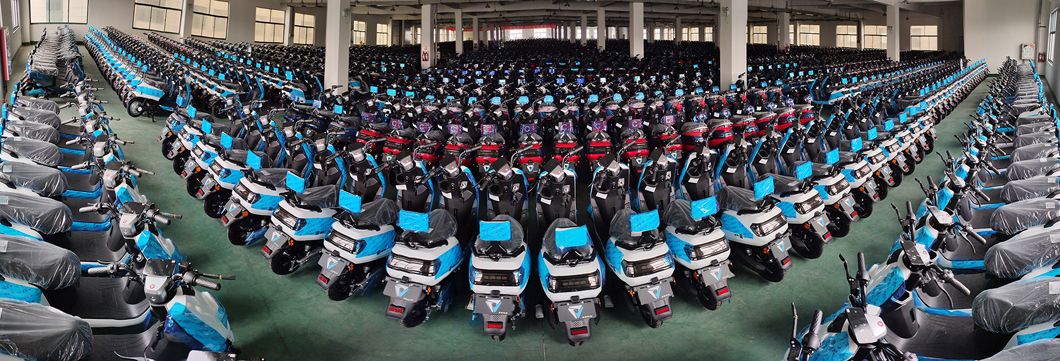 Vimode High Quality High Power 60V Electric Motorcycle for Sale