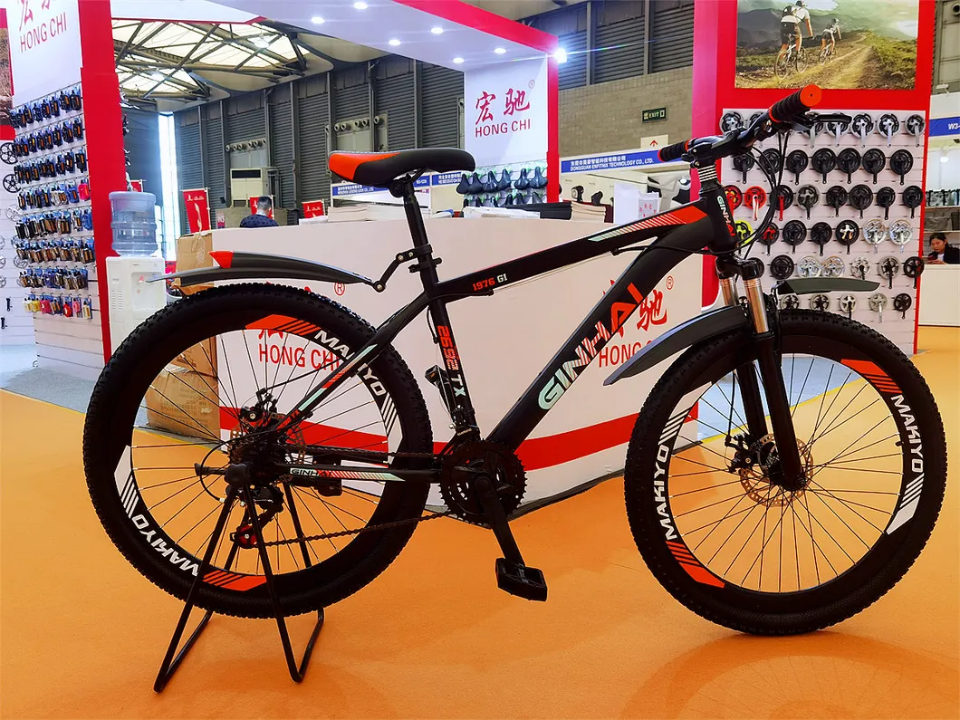 Bicycle-City Bike-City Bicycle of Lady (HC-TSL-LB-09943)