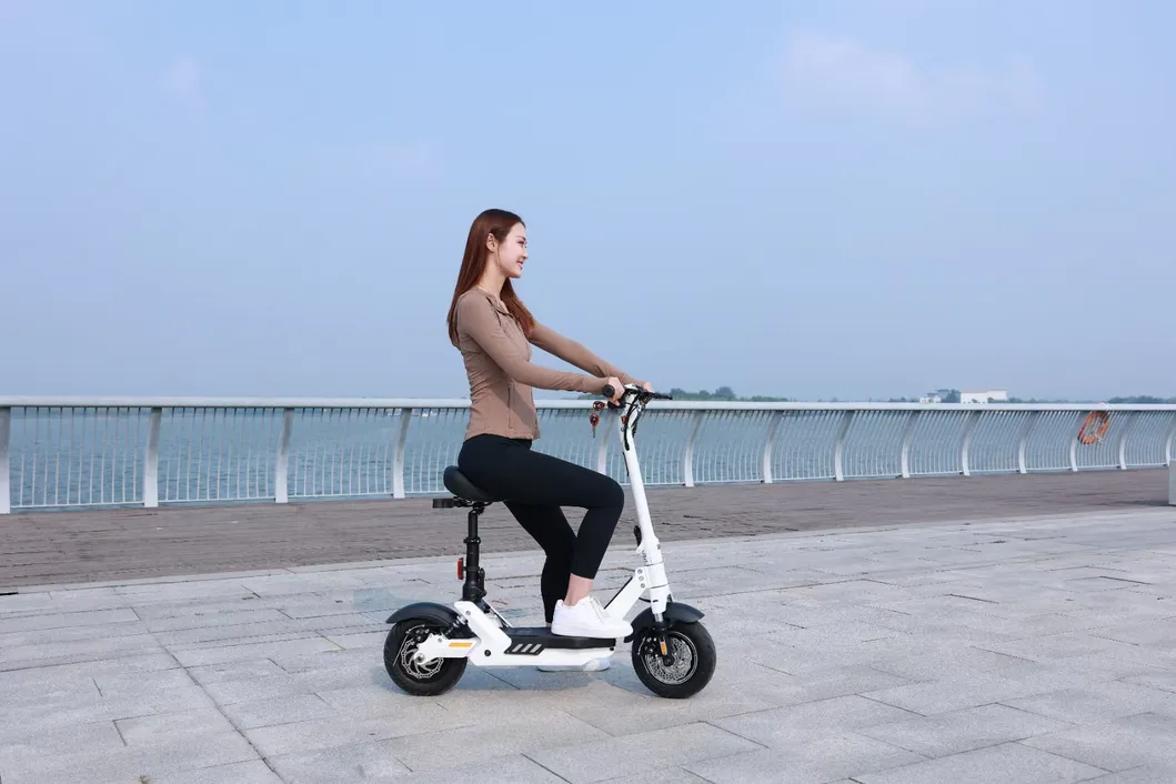Folding Aluminum Alloy Electric Scooter 48V400W Waterproof Motor