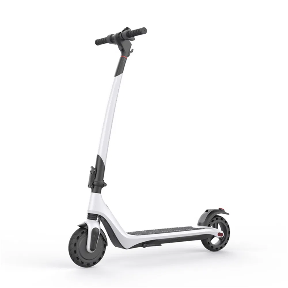 3 Wheel Adult Aceme New Plush Animal Electric Scooter