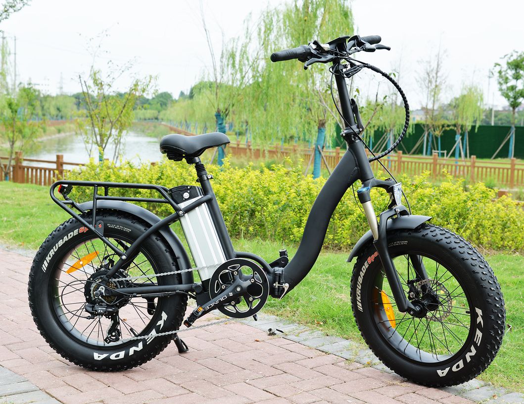 Custom Printing/Logo OEM 48V 13ah 7-Speed 800W Electric Bike for Adult