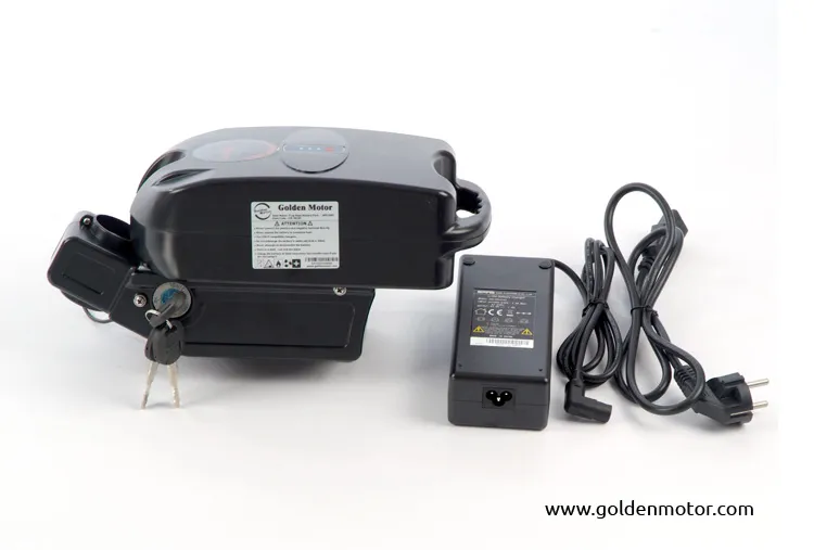 &#160; Electric Bike Battery 24V10ah Battery Frog Type