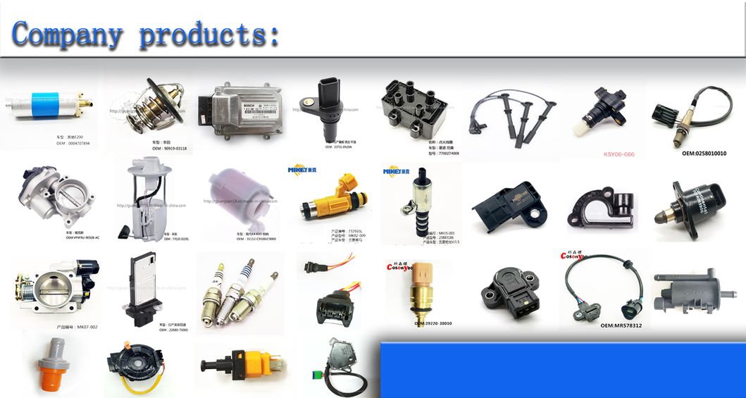 100% Tested Brand New Petrol Auto Parts Fuel Injector Nozzle for Volkswagen New Jetta Volkswagen Polo 1.4 OEM: 04e906031e