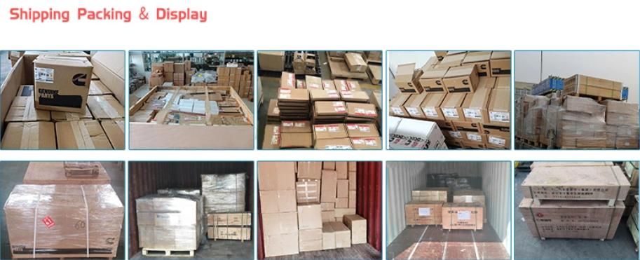 Water Pump 4972856/4972862/2882145 M11/ISM11/Qsm11 Construction Machinery and Truck Cooling System Diesel Engine Parts
