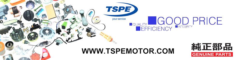 Motorcycle Spare Part Steering Stem for Ds150 Motorcycle