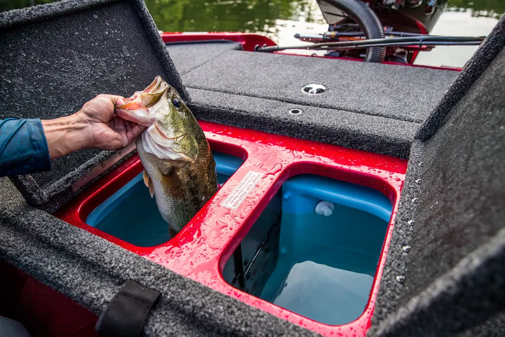Best Quality Kinocean Fiberglass Console Speed Bass Boat Hot Sale