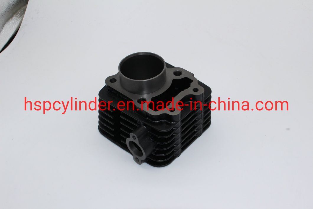 Motorcycle Parts Cylinder Block Kit for BAJAJ CT100 BAJAJ100 DISCOVER112