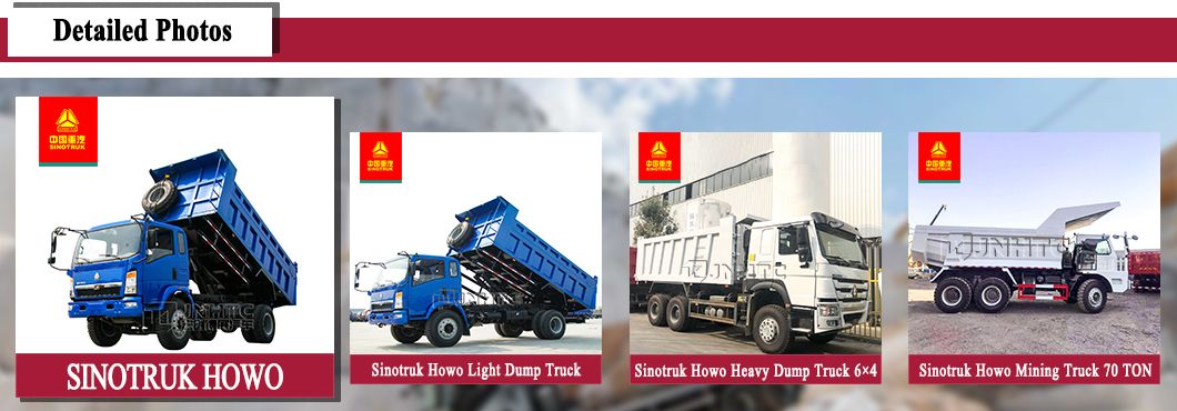 China Light Truck Sinotruk HOWO Water Tank Cargo Refrigerator Tractor Dump Concrete Tow Garbage Tipper Compactor Box Sewage Suction Fuel Truck for Sale