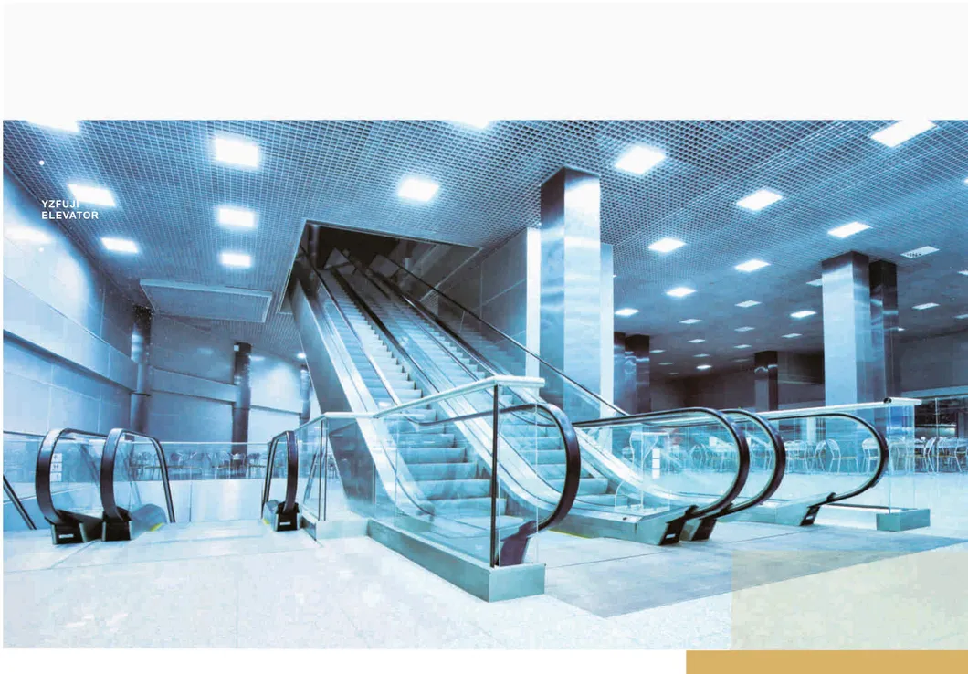 FUJI Vvvf Drive Shopping Escalators Elevator Moving Walk for Airport