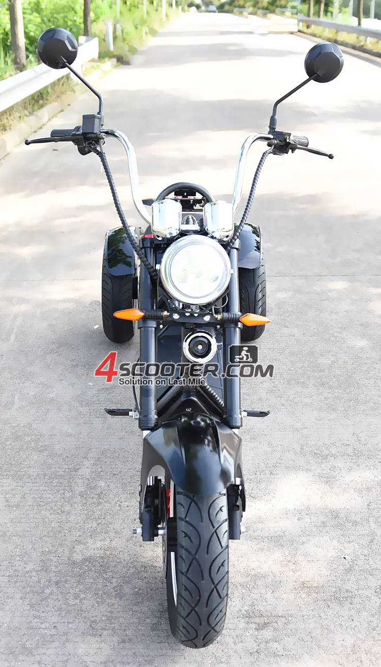 Cheap Price Citycoco 4000W 3 Wheels 3000W Electric Scooter