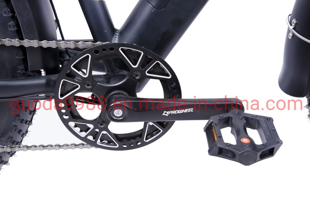 OEM 26-Inch Al Fork Electric Mountain Bicycle with Fat Tire