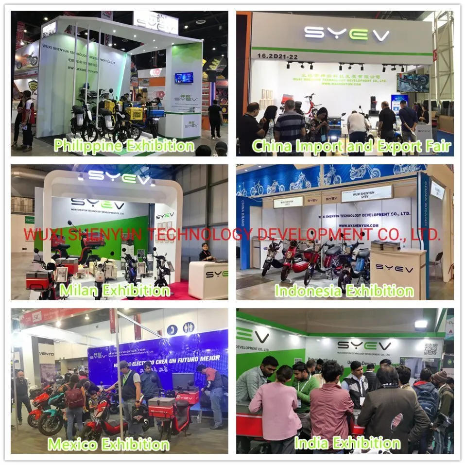 Syev Most Safe Riding Electric Mopeds Scooter with Low Speed 350W